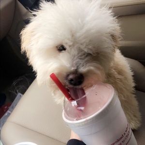 Meet your Posher, Kaylee